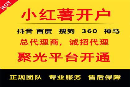 行业领先企业的网络推广与竞价经验